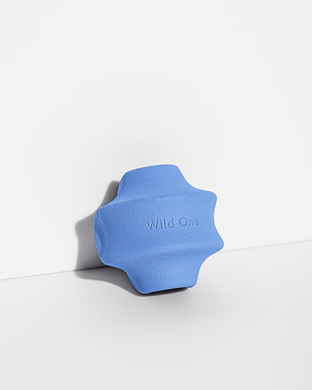Dog Toy Kit