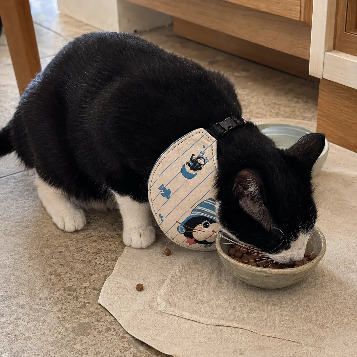 Whisker Friends Adjustable Cat Bib – Sky Blue